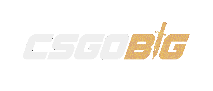 CSGOBig